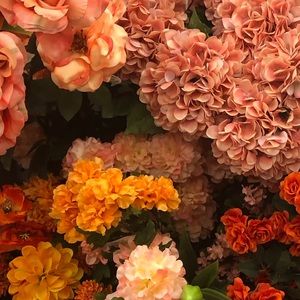 Meet your Posher, Mackenzie